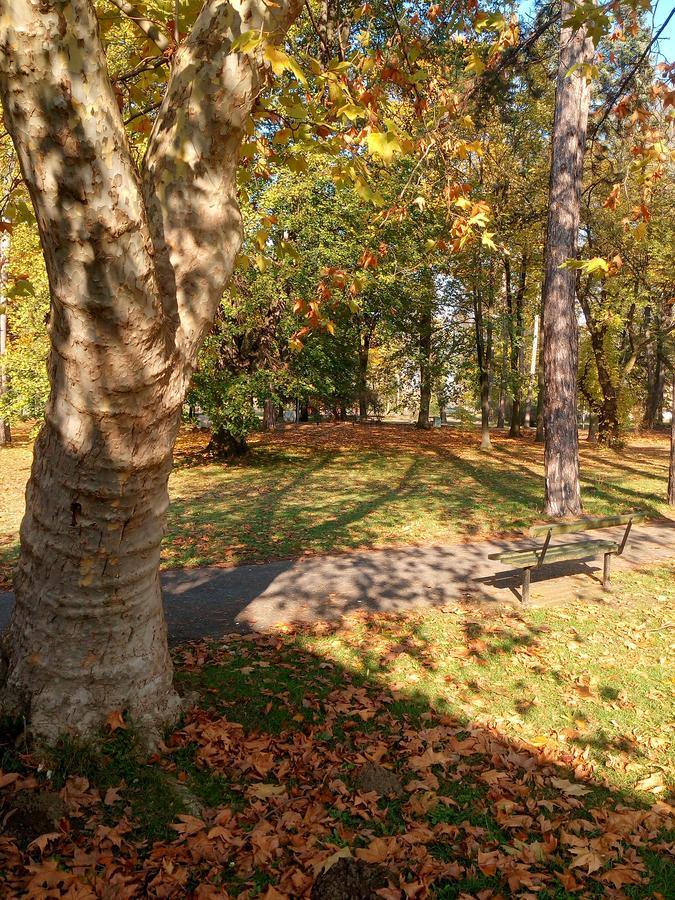 S' Centro - Park Apartments Kraljevo Zewnętrze zdjęcie